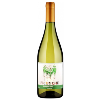 Вино "Picunche" Sauvignon Blanc, Valle Central DO