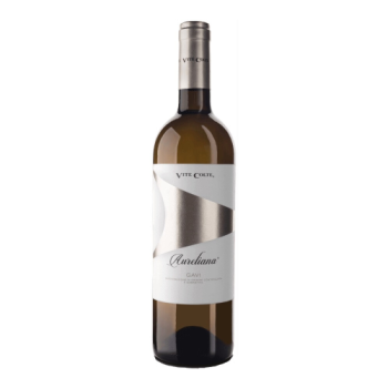 Вино Terre da Vino, "Aureliana", Gavi DOCG, 2021