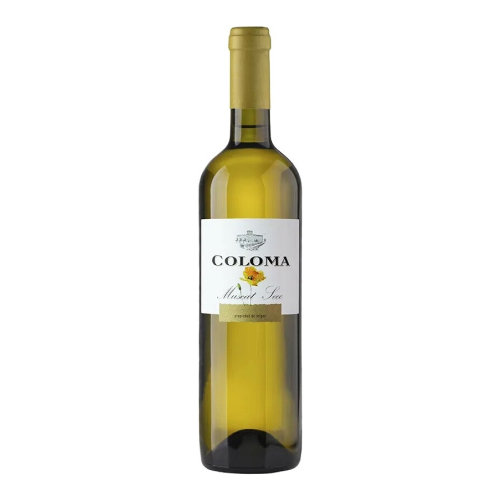 Вино "Coloma" Muscat Blanco Joven