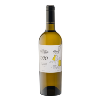Вино Chateau Tamagne, "Duo" Blanc Dry