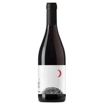 Вино Aya Organic Wine, "Evolution" Pinot Noir, 2022