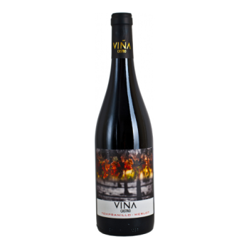 Вино "Vina Castro" Tempranillo-Merlot