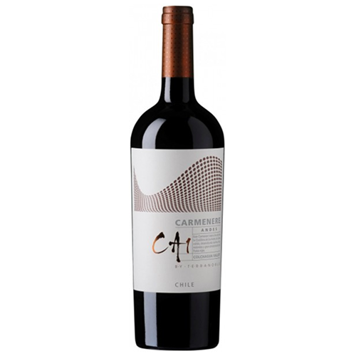 Вино TerraNoble, "CA1" Carmenere Andes, 2012
