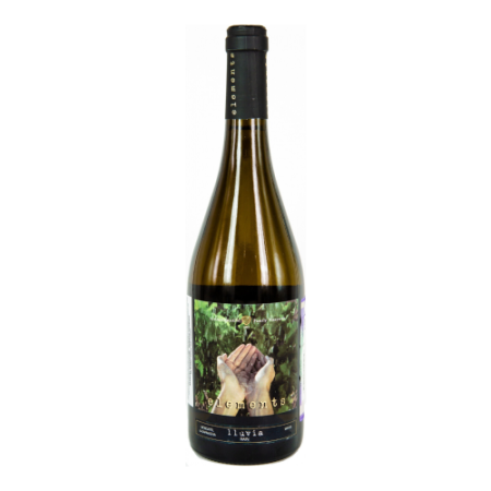 Вино "Elements" Lluvia, Moscatel & Garnacha, Carinena DOP