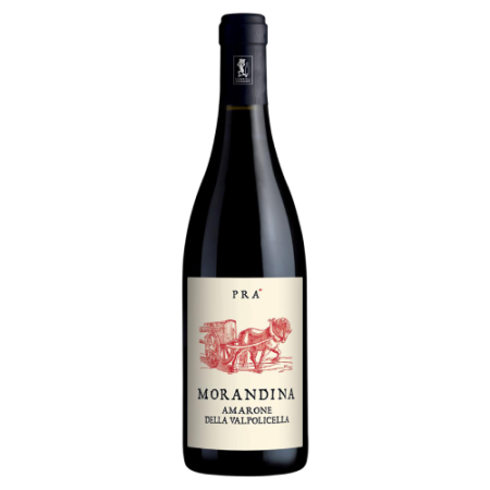 Вино Amarone della Valpolicella Morandina Pra 0.75 л