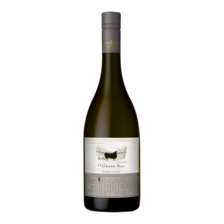 Вино "Le Grand Noir" Pinot Noir, Pays d'Oc IGP
