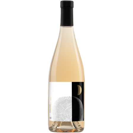 Вино Aya Organic Wine, "Evolution" Chardonnay, 2023